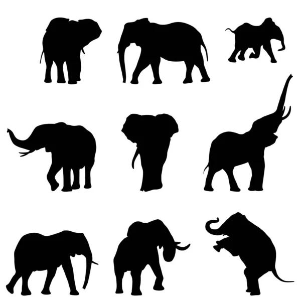 Набор Силуэтов Слонов Белом Фоне — стоковый вектор