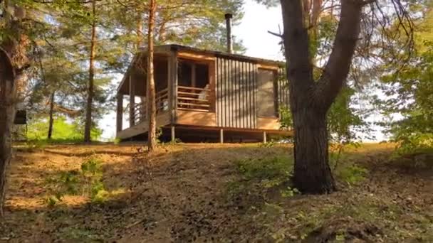 木製のスカンジナビアの家 森の真ん中に沈黙している森の小屋 — ストック動画