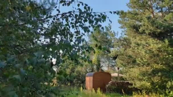 森林里的一家私人小旅馆桑拿 木桶形式的移动式紧凑型浴池 Spa — 图库视频影像