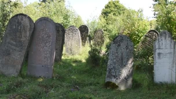 Antiguo Cementerio Judío Con Lápidas Piedra Vieja Día Soleado Ucrania — Vídeos de Stock