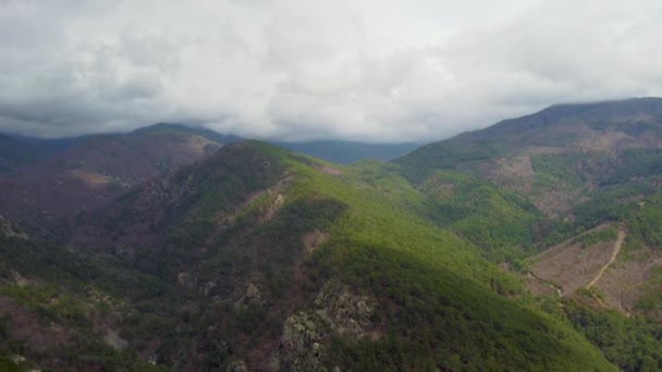 Árboles Aéreos Nubes Montaña Kaz Monte Ida Parque Nacional — Vídeo de stock