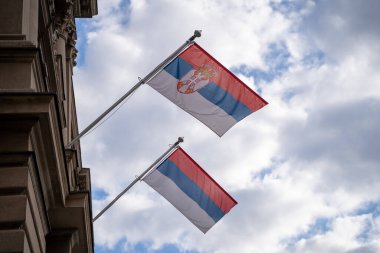 Sırbistan ve gökyüzünün ulusal bayrağını sallıyor