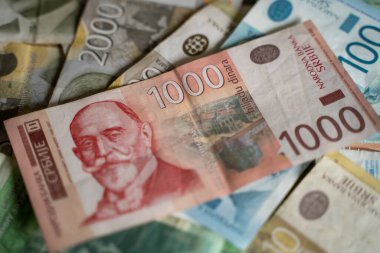 Sırp para birimi 1000 banknot dinarı