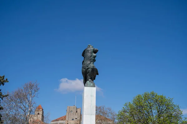 Monumento Gratitud Francia Kalemegdan Park Belgrado Serbia Abril 2023 —  Fotos de Stock