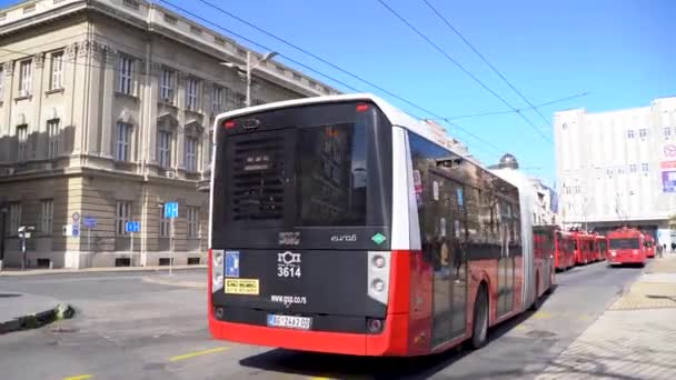 Röd Buss Studenttorget Belgrad Serbien April 2023 — Stockvideo