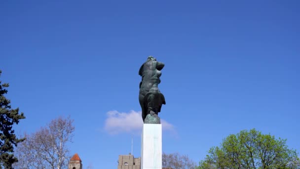 Μνημείο Ευγνωμοσύνης Προς Γαλλία Στο Πάρκο Kalemegdan Βελιγράδι Σερβία Απριλίου — Αρχείο Βίντεο
