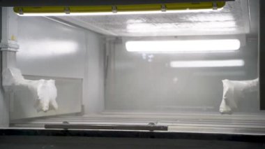 Tahta kapı fabrikası 4K 'da otomatik ahşap boyama makinesi hattı.