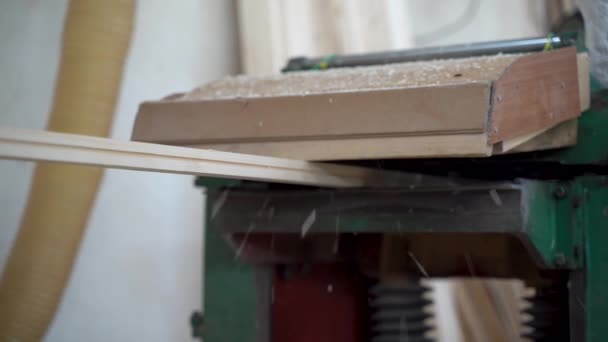 Mesin Pemotong Kayu Pabrik Pintu Kayu — Stok Video
