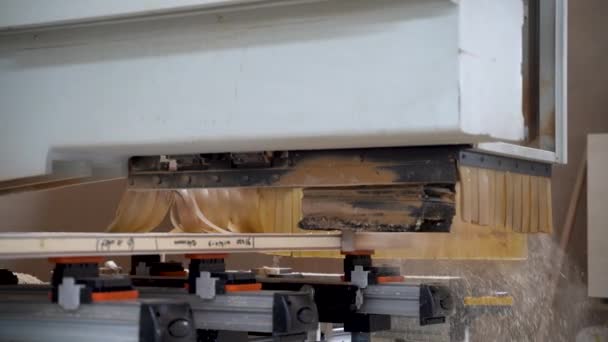 Holzschneidemaschine Holztürenfabrik — Stockvideo