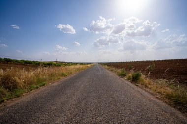 Gün ışığında terk edilmiş asfalt yol..