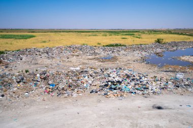 Şehir çöplüğü ve kirlenmiş doğa.