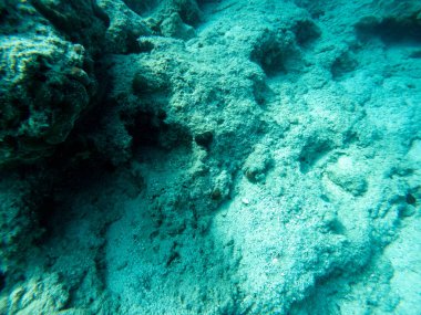 Denizin dibindeki kayalar.