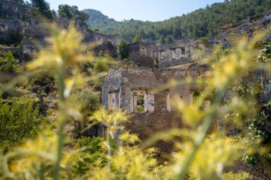 Hayalet şehir Kayakoy 'daki antik Yunan evlerinin kalıntıları, çimlerin ötesine bakıyor. Kayakoy, Fethiye ilçesine bağlı bir Yunan köyü..