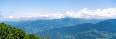 Dağların ve ormanların panoramik manzarası.