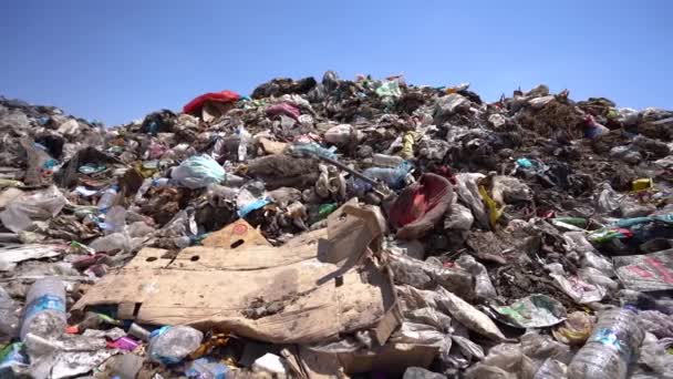 Zanieczyszczenie Środowiska Śmieci Miejskim Wysypisku Śmieci — Wideo stockowe