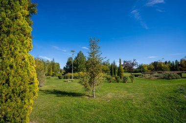 Şehir parkında ağaçlar ve çimenler güneşli havada.