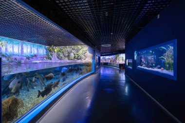 Sazova Park 'taki Eskisehir Hayvanat Bahçesi' nde Eti Sualtı Dünyası akvaryumu. Eskisehir, Türkiye - 10 Ekim 2023.