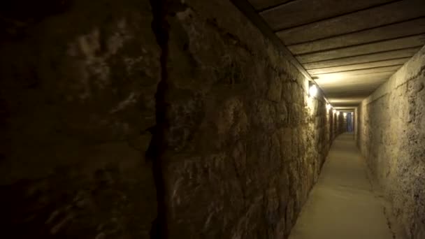ゴルディオン古代都市4Kゴルディオンにあるミダス マウンド トゥルスはユネスコの世界遺産に登録されました ポラトリア アンカラ — ストック動画