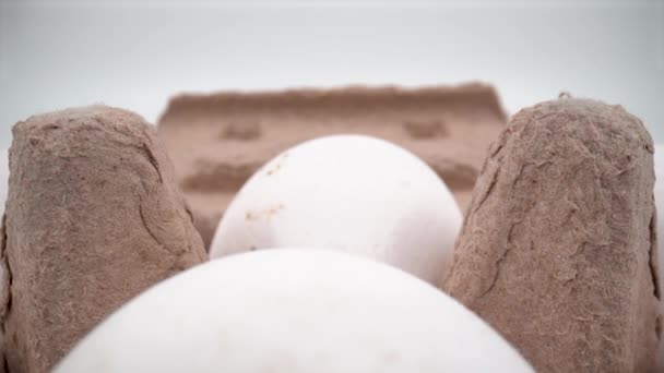 Kutudaki Beyaz Yumurtalar Izole Edilmiş Kapatın — Stok video