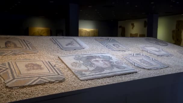 Historyczne Mozaiki Muzeum Mozaiki Gaziantep Zeugma — Wideo stockowe