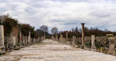 Antik Ephesus şehrindeki Liman Sokağı 'nın panoramik manzarası.