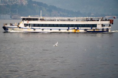 Martı denizin üzerinde uçuyor ve gemi arka planda.