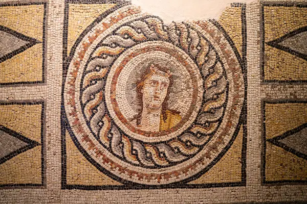 Dionysos Porträtt Mosaik Ligger Gaziantep Zeugma Mosaik Museum Stockbild