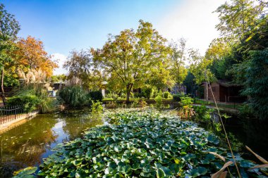 Gaziantep Botanik Bahçesi 'ndeki parkın manzarası.