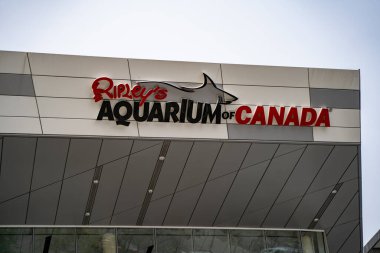 Ripley 'in Toronto şehir merkezindeki Kanada Akvaryumu. Toronto, Kanada - 29 Nisan 2024.
