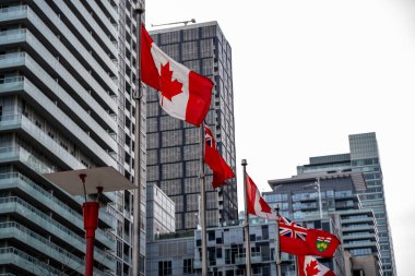 Toronto 'da Kanada ve Ontario bayrakları.