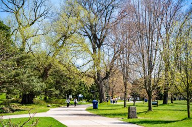 Toronto Center Adası manzarası. Toronto, Kanada - 30 Nisan 2024.