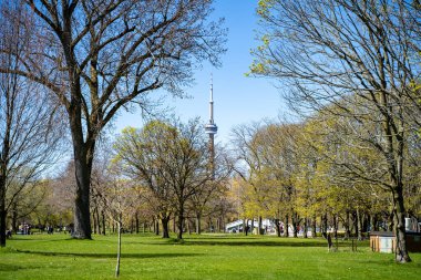 Toronto Merkez Adası 'ndaki park manzarası.
