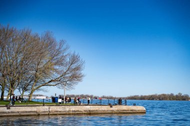 Harbourfront Mahallesi 'ndeki rıhtım parkı. Toronto, Kanada - 30 Nisan 2024.