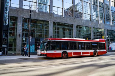 Toronto şehir merkezindeki TTC otobüsü. Toronto, Kanada - 30 Nisan 2024.