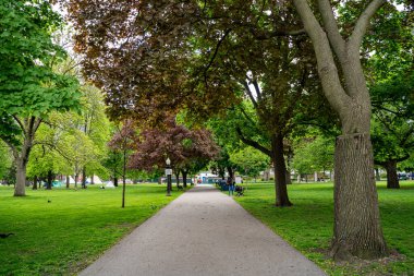 Allan Gardens Parkı manzarası. Allan Gardens, Bahçe Bölgesi 'nde yer alan bir konservatuvar ve şehir parkı. Toronto, Kanada - 12 Mayıs 2024.