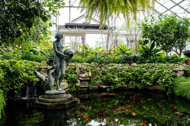 Allan Gardens Konservatuarı 'nın iç manzarası. Allan Bahçeleri 'nde bitkiler ve çiçekler.