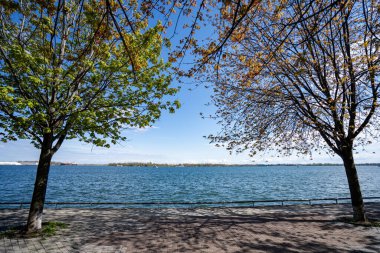 Toronto 'daki Su Kenarı Gezisi.