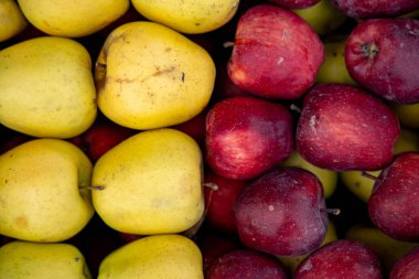 Sandıktaki kırmızı ve sarı elmalar..