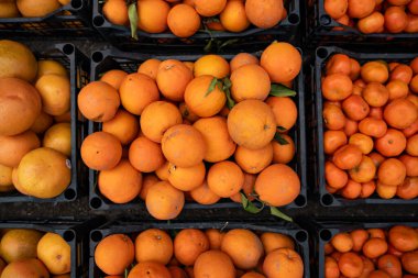 Marketteki plastik sandıkta taze portakallar..