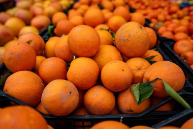 Marketteki plastik sandıkta taze portakallar..