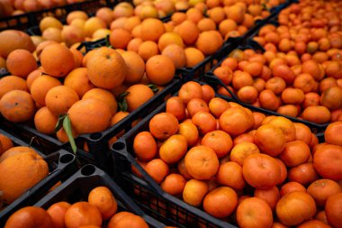 Marketteki plastik kutuda taze portakal ve mandalina var..