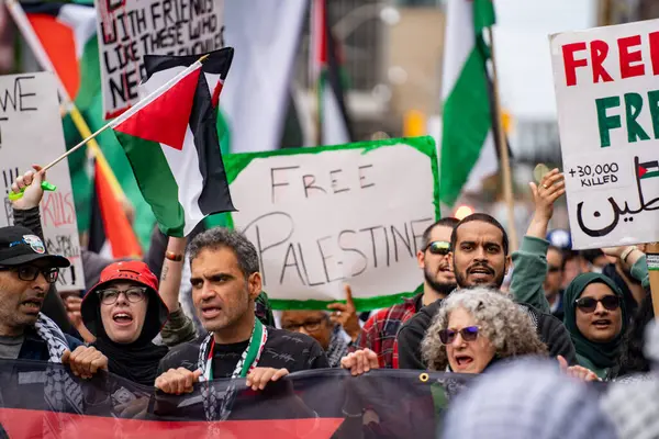 İnsanlar Gazze 'deki savaşa karşı Filistin mitinginde protesto ediyor. Toronto, Kanada - 25 Mayıs 2024.