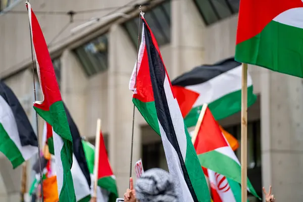 stock image Palestinian flags at a protest rally against the war in Gaza.