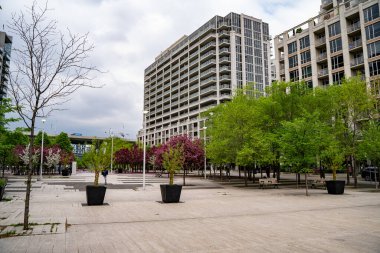 June Callwood Parkı manzarası. Toronto, Kanada - 25 Mayıs 2024.