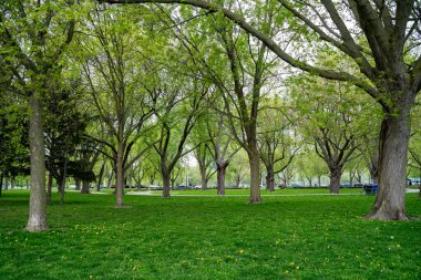 Taç giyme parkı manzarası. Taç giyme parkı Toronto 'da bir park ve gazilerin anıtıdır..