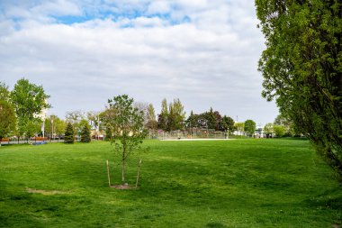 Toronto Limanı 'ndaki küçük Norveç Parkı.