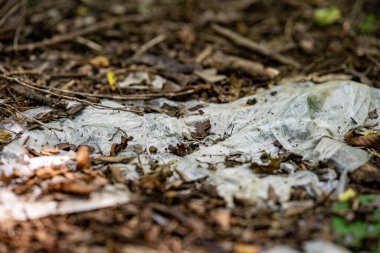 Ormana atılan beyaz plastik torba..