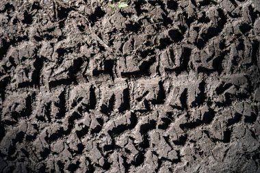 Çamurlu yoldaki lastik izlerini kapat..