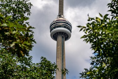 Toronto 'daki ağaç dallarından CN Kulesi' nin görüntüsü. Toronto, Kanada - 13 Eylül 2024.