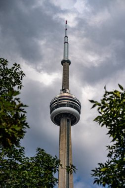 Toronto 'daki ağaç dallarından CN Kulesi' nin görüntüsü. Toronto, Kanada - 13 Eylül 2024.